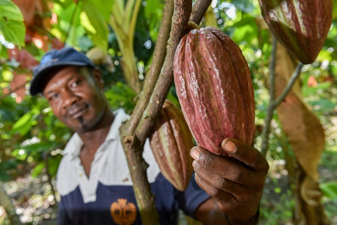 Um agricultor na Colômbia segura uma vagem de cacau