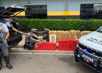 maconha guaranta min