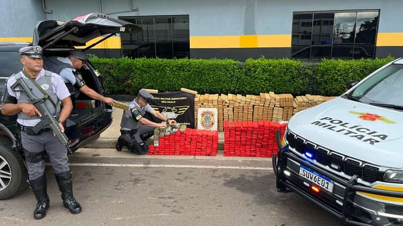 maconha guaranta min