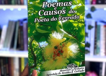 poemas causos min