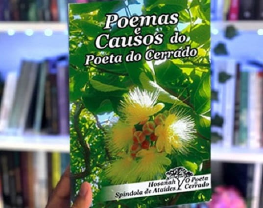 poemas causos min