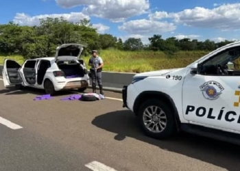 Ocorrência foi registrada no sábado (8), em Rancharia (SP) — Foto: Polícia Rodoviária